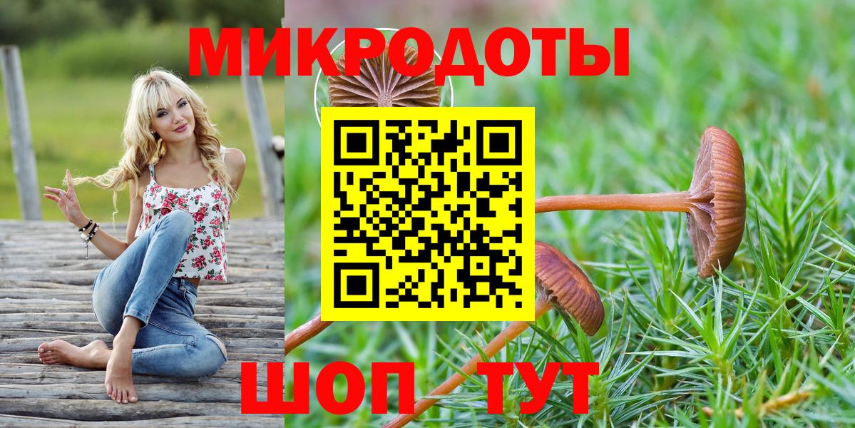 Галлюциногенные грибы GOLDEN TEACHER  Вход с VPN  Заводоуковск 